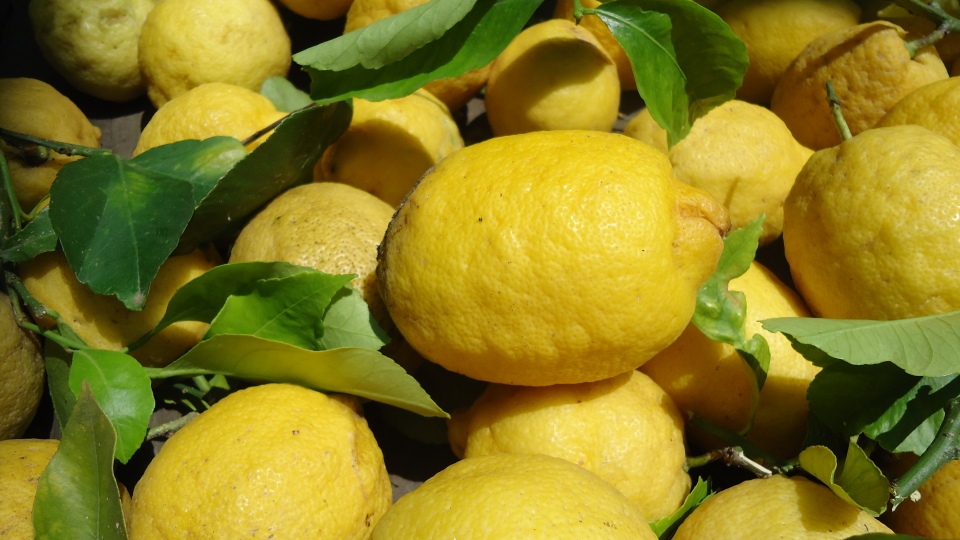 il limone